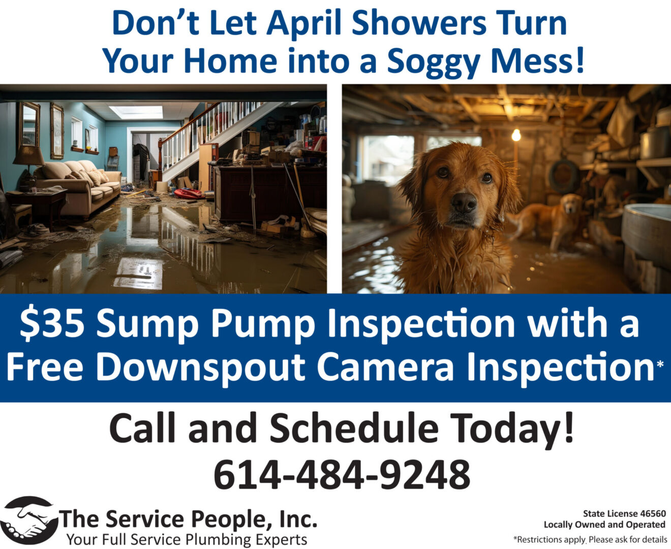 35-Sump-pump-downspout-inspection-with-Dogs-scaled.jpg