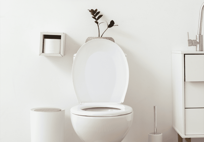 A white toilet with the seat up and a plant on top of it.